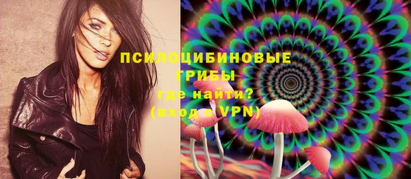соль ск Алзамай