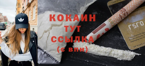 шишки Абинск