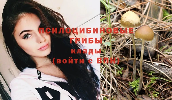 2c-b Абдулино