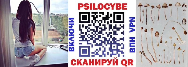 Псилоцибиновые грибы Magic Shrooms  сколько стоит  Анадырь 